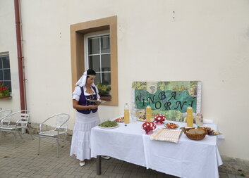 Vinobraní v Domově pokojného stáří Libošovice